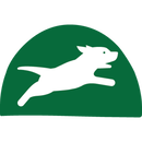 BUENA CONDICI&Oacute;N F&Iacute;SICA