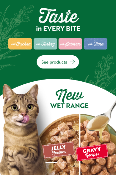 EN_Wet_Cat_Banner_Desktop.png