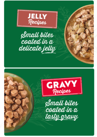 EN_gelatina & salsa_cat.png