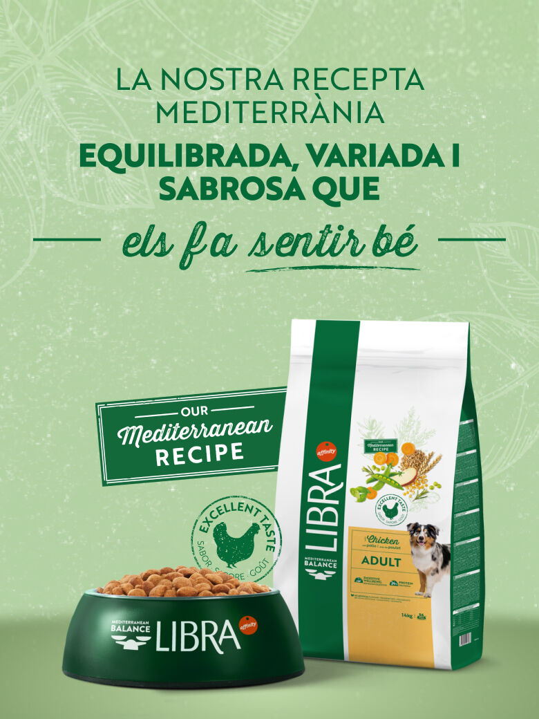 D &ndash; Banner &ndash; Landing CAT.jpg