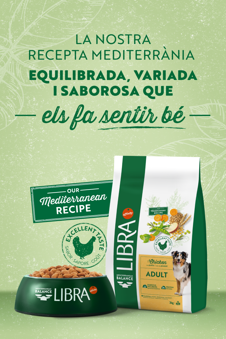 CAT_Banner home - desktop.png