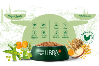 Complete and balanced recipe for your cat