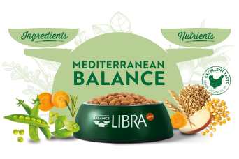 Mediterranean balance: ingredients + nutrients