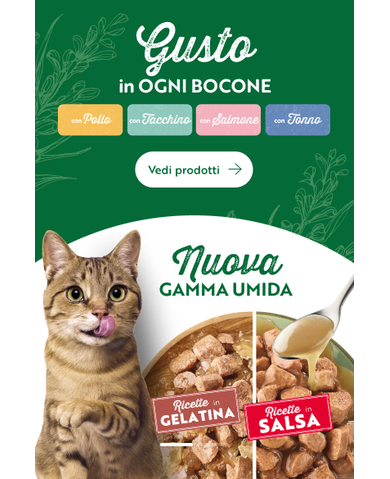 IT_Wet_Cat_Banner_Desktop_1280x438_white.png