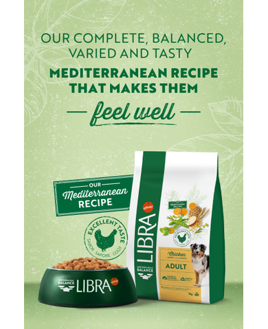 EN_Banner home - desktop_1280x438.png