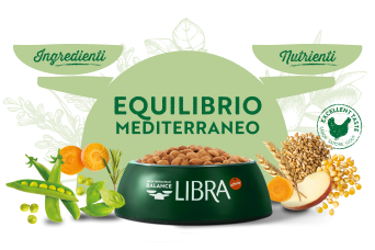 Equilibrio mediterraneo: ingredienti + nutrienti