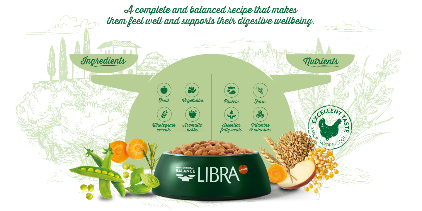 Complete and balanced recipe for your cat