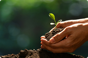 Sustainability