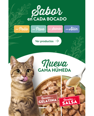 ES_Wet_Cat_Banner_Desktop_1280x438.png