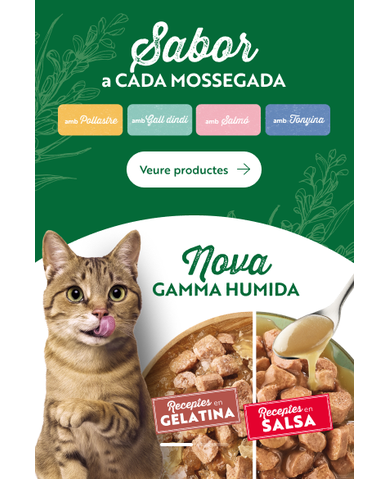 CAT_Wet_Cat_Banner_Desktop_1280x438.png