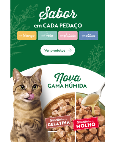 PT_Wet_Cat_Banner_Desktop_1280x438_white.png