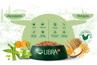 Receta completa y equilibrada para tu gato