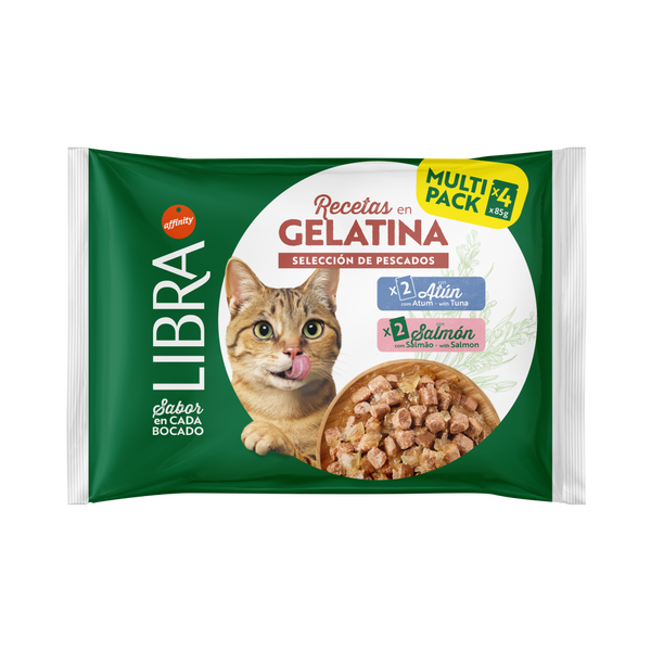 Receitas em gelatina &ndash; Sele&ccedil;&atilde;o de peixes