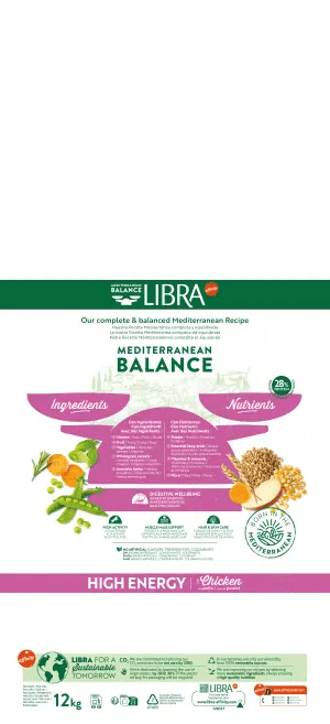 HIGH ENERGY amb POLLASTRE