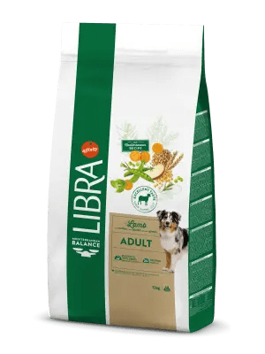 ADULT avec de l'AGNEAU