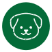 Perro