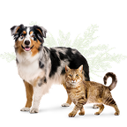 label.hero.banner.pet.image.alt.all